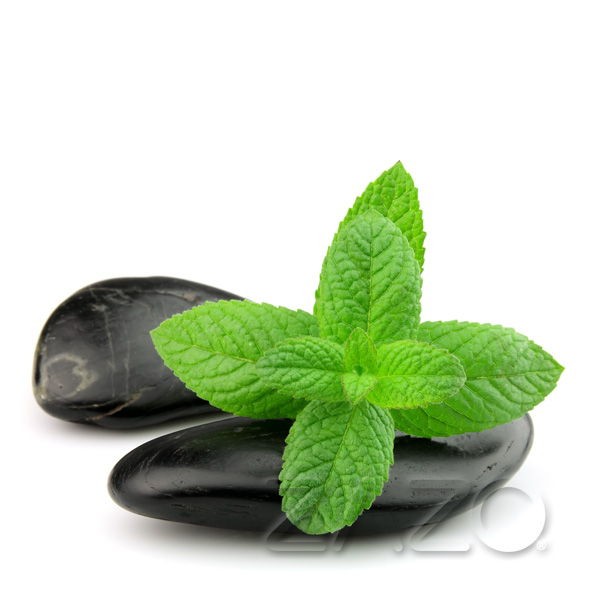 Menthol Liquid Zazo