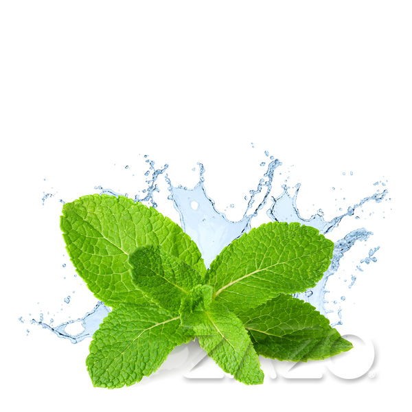 Fresh Mint Liquid Zazo