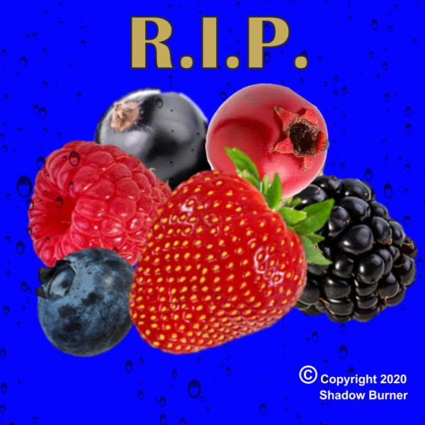 R.I.P. Aroma Shadow Burner