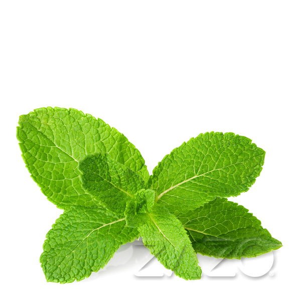 Mint Liquid Zazo