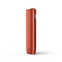 Vivid Terracotta