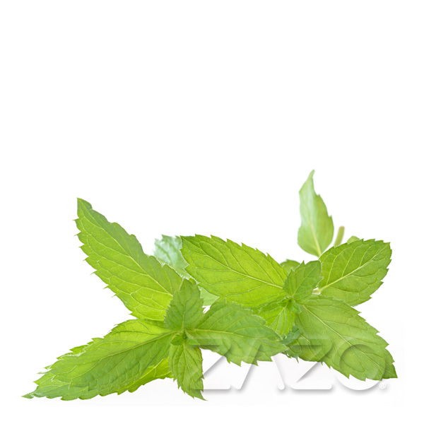 Pfefferminze Liquid Zazo