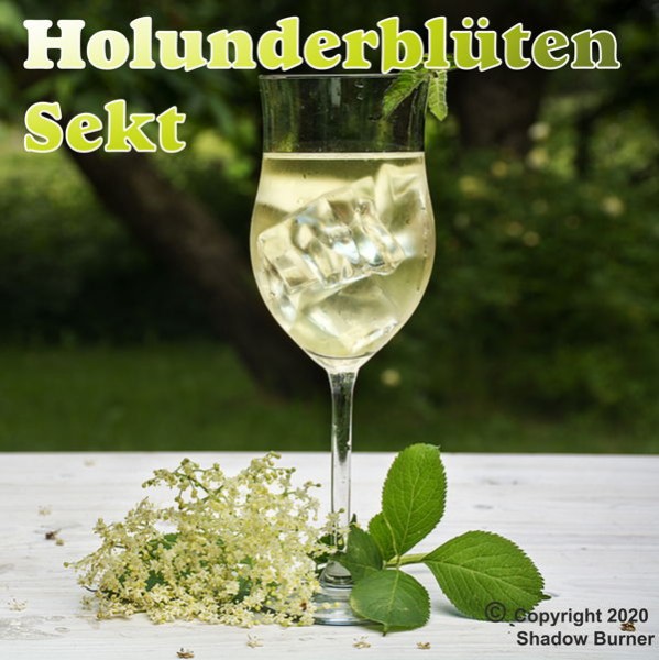 Holunderblüten Sekt Aroma Shadow Burner