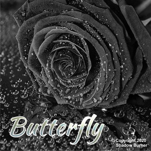 Butterfly Aroma Shadow Burner