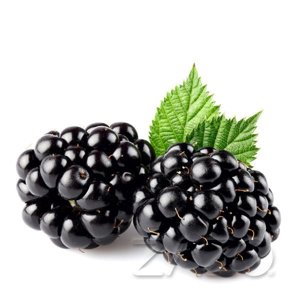 Blackberry Liquid Zazo