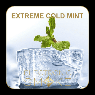Extreme Cold Mint Aroma Dark Burner