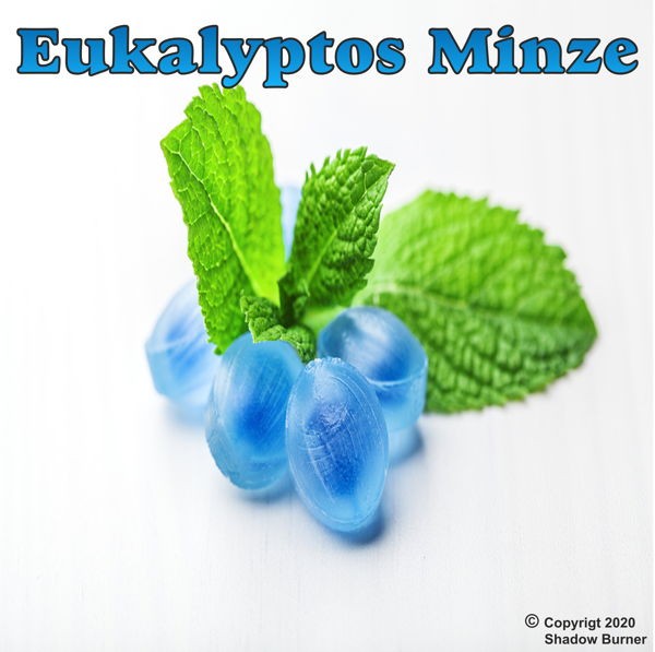 Eukalyptus Minze Aroma Shadow Burner