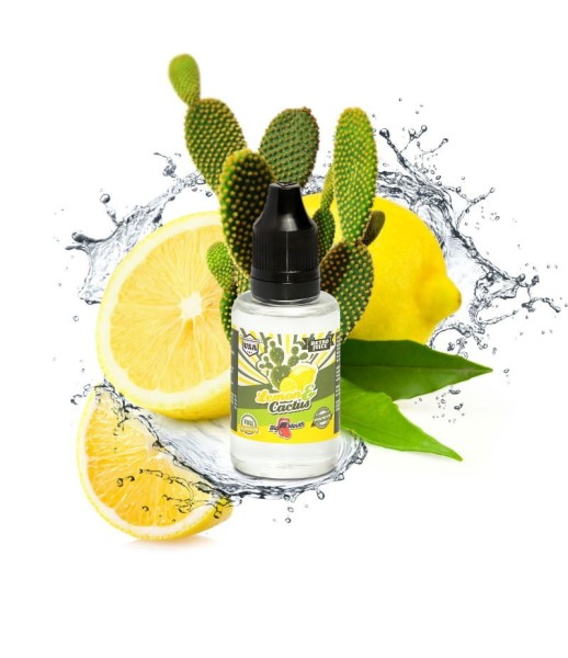 Lemon & Cactus Aroma Retro Juice Big Mouth